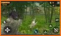 Forest Dinosaurs Sniper Safari Hunting Game related image