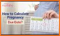 Pregnancy calculator | Tracker related image