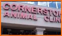 Cornerstone Veterinary Hospital related image