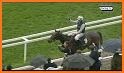 Cheltenham Horse Racing related image