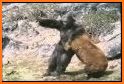 Rope Hero vs Bigfoot Gorilla related image