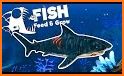 Feed and grow shark fish related image