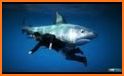 Underwater Bull Shark Attack Sniper Hunter Game related image