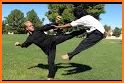 Kung Fu FIGHT! related image