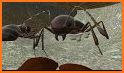 Ant Simulation 3D Full related image