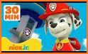 Paw Jumper Patrol related image