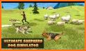 Shepherd Dog Simulator 3D-Offline Wild Animal Game related image