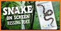 Snake Screen Prank related image