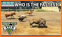 Animal Racing Game related image