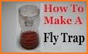 DIY Fly Trap related image