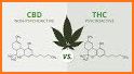 CBD Hempire Shop + CBD Calculator - CBD Store related image