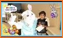 Easter Bunny Theme related image