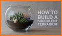 Gardenium Terrarium related image