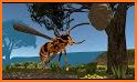 Spider Nest Simulator - insect and 3d animal game related image