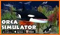 Orca Simulator related image