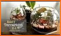 Terrarium Ideas related image