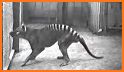 Extinct animals, endangered species! Rare animals related image