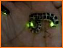 glowWorm related image