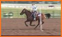 4-H at Nebraska State Fair related image