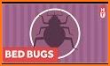 Bedbugs Disease related image