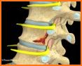 BACK AND SPINAL CORD - ATLAS related image