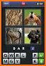 4 PICS 1 WORD 2022 related image