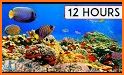 Underwater World HD Wallpaper related image