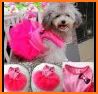 Puppy Fashion related image