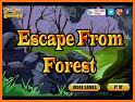 Trekking Forest Escape related image