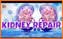 Repair Your Kidneys Naturally related image