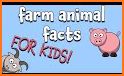 Animals Farm For Kids related image