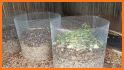 DIY Compost Bin related image