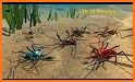 Life of Phrynus - Whip Spider related image