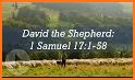 David Shepherd related image