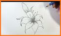 How to Draw Flower - Learn Drawing related image