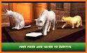 Home Cat Survival Simulator 3D related image