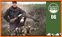 Duck Shooting related image