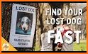 NOSEiD - An Easier Way to Help Find Your Lost Dog related image