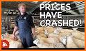 Sheep Market related image