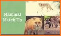 Zoo4D Activity Pack - Mammal Edition related image