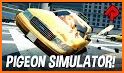 Wild Pigeon Bird City Simulator related image