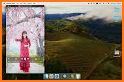 Photo Grid Video Collage guide related image