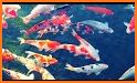 Autumn Koi Fish Theme related image