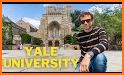 Yale New Haven Go related image