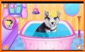 Husky Puppy Spa Salon related image