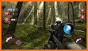 Deer Hunting 2021-Wild Animals Hunting Games related image