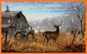 Deer Wallpapers related image