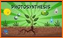 Photosynthesis related image