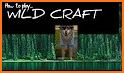 Guide for wildcraft animal sim online game related image