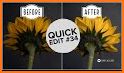 Sunflower Photo Editor related image